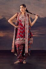 3 Piece - Printed Embroidered Suit - 42601165