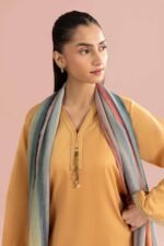 2 Piece - Embroidered Suit - PE26-138 - Image 6