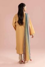 2 Piece - Embroidered Suit - PE26-138 - Image 4