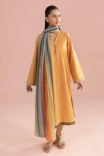 2 Piece - Embroidered Suit - PE26-138 - Image 5