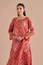 2 Piece - Printed Embroidered Suit - PE26-216 - Image 6