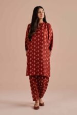 2 Piece - Printed Embroidered Suit - PE26-26 - Image 5