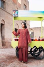 2 Piece - Embroidered Suit - PE26-50 - Image 3