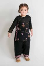 2 Piece - Printed Embroidered Suit - PMD26-03 D