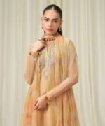 Blended Net Embroidered Yellow 3 Piece Suit