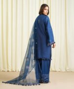Raw Silk Embroidered Blue 3 Piece Suit - Image 4
