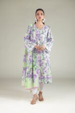Solid Straight Shalwar - View 2
