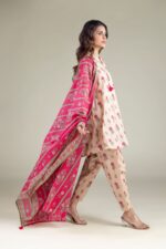 Striped Tassel Dupatta - View 4