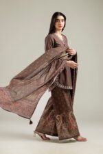 Brown Mesuri Dupatta - View 4