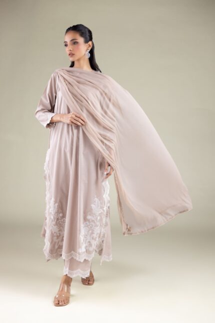 Draped Lace Dupatta - View 2
