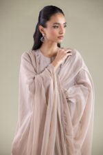 Draped Lace Dupatta - View 3