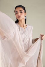 Draped Lace Dupatta - View 5