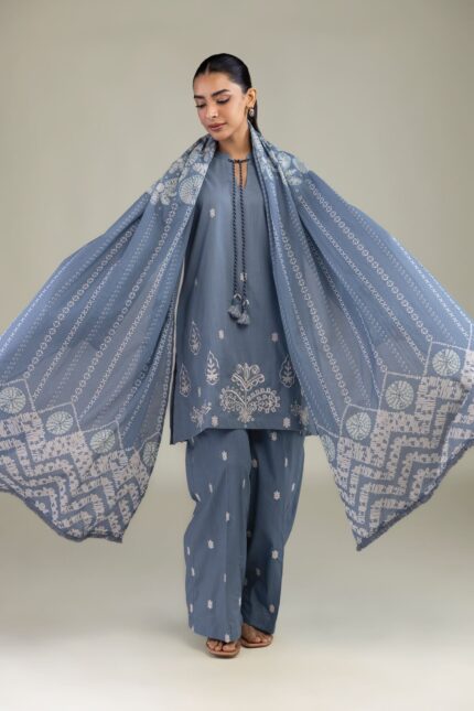 Blue Embroidered Pants - View 1