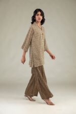 Brown Cambric Pants - View 2