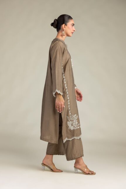 Solid Brown Pants - V1