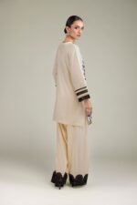 Raw Silk Kurta - V8