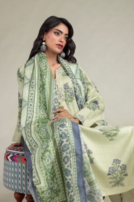 Mint Mesuri Dupatta - V1