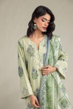Mint Mesuri Dupatta - V2