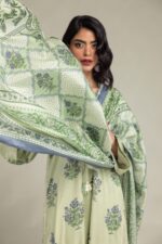 Mint Mesuri Dupatta - V3