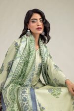 Mint Mesuri Dupatta - V4