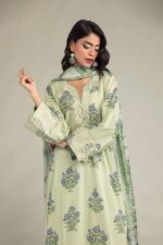 Mint Mesuri Dupatta - V6