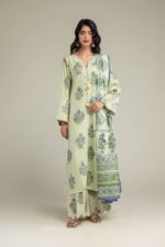 Mint Mesuri Dupatta - V8