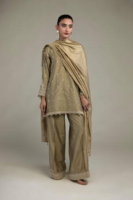 Raw Silk Pants - V1