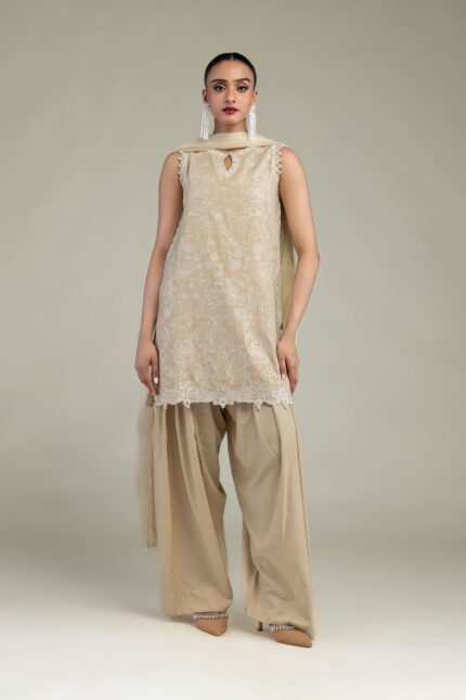 Beige Solid Shalwar - V1