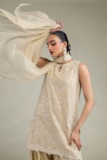 Beige Chiffon Dupatta - V2