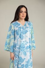 Printed Lawn Fabrics 2-Piece #210 FG1 [A11] - V2
