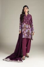 Embroidered Raw Silk Fabrics 2-Piece - V1