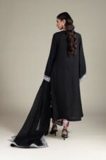 Embroidered Raw Silk Fabrics 3-Piece - V5