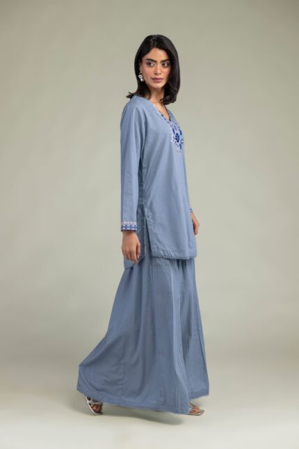 Blue V-Neck Kurta - View 1