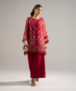 Red Organza Straight Suit - View 4