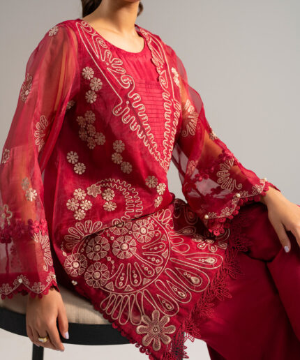 Red Organza Straight Suit - View 2
