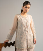 Beige Organza Straight Suit - View 4