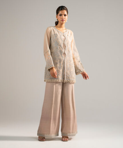 Beige Organza Straight Suit - View 1