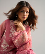 Blended Organza Straight Suit - View 1