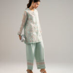 Green Organza Straight Suit - View 1