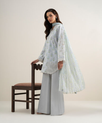 Light Grey Lawn Unstitched Ensemble - View 2