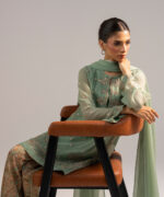 Green Chiffon Straight Suit - View 2