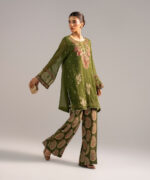Green Chiffon Straight Suit - View 1