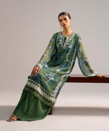 Green Chiffon Straight Suit - View 1
