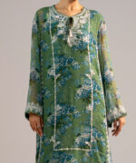 Green Chiffon Straight Suit - View 2