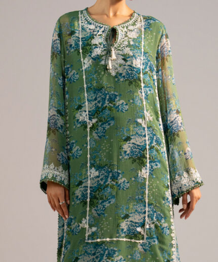 Green Chiffon Straight Suit - View 2