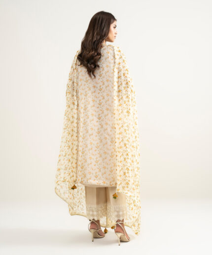 Pale Yellow Blended Organza A-Line Suit - View 2