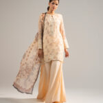 Peach Chiffon Straight Suit - View 1