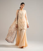 Peach Chiffon Straight Suit - View 1
