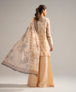 Peach Chiffon Straight Suit - View 3