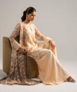 Peach Chiffon Straight Suit - View 4